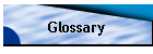 Glossary